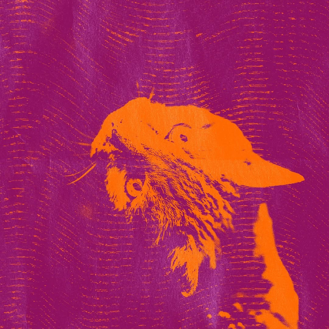 Portada de 'NENI'.
